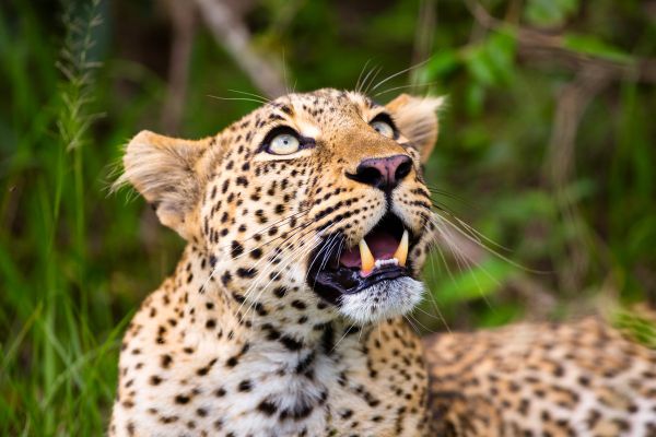 171003  5m40980 0138 bearbeitet